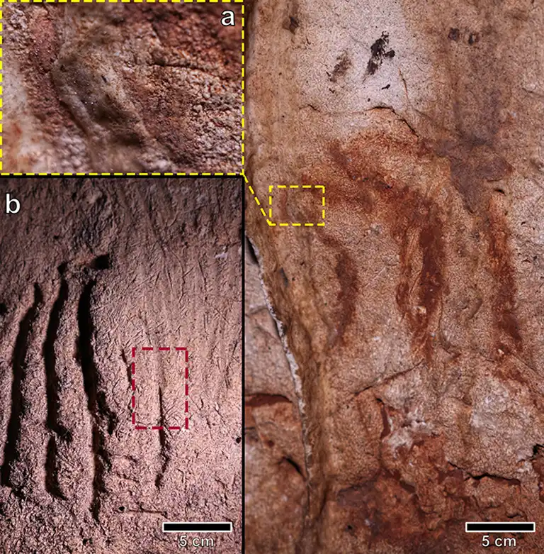 Grabados paleolíticos de Cova Dones, incluida una cierva de líneas trilineales y dos cabezas de caballo