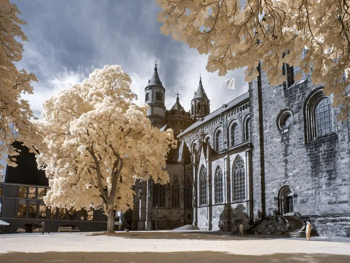 Catedral de San Pedro, Worms