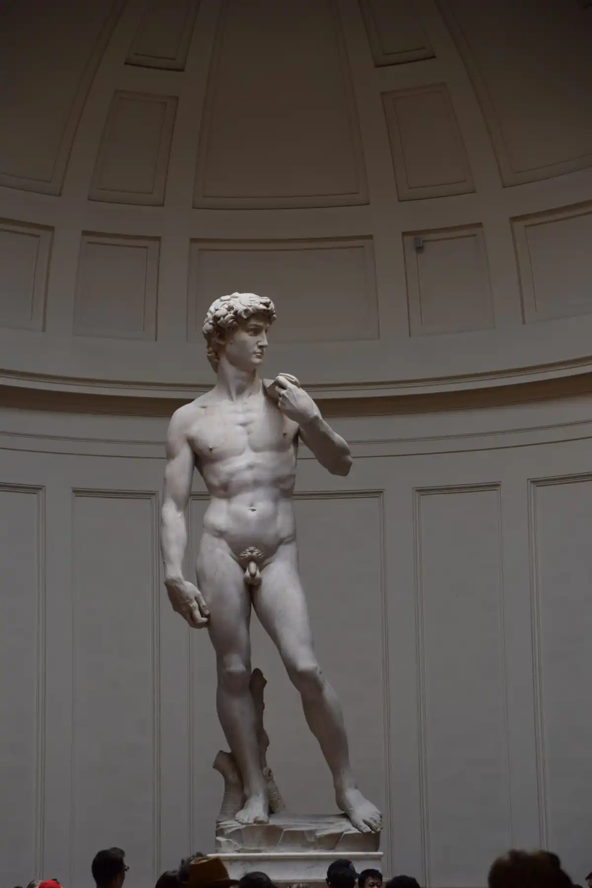 El David de Miguel Ángel, conservado desde 1873 en la Galleria dell'Accademia de Florencia