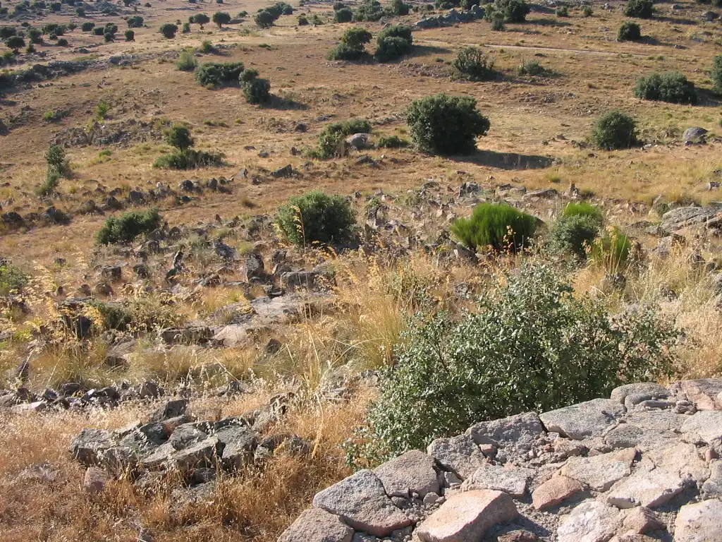 Castro de Las Cogotas (Ávila, España). Campo de piedras hincadas visto desde la muralla.