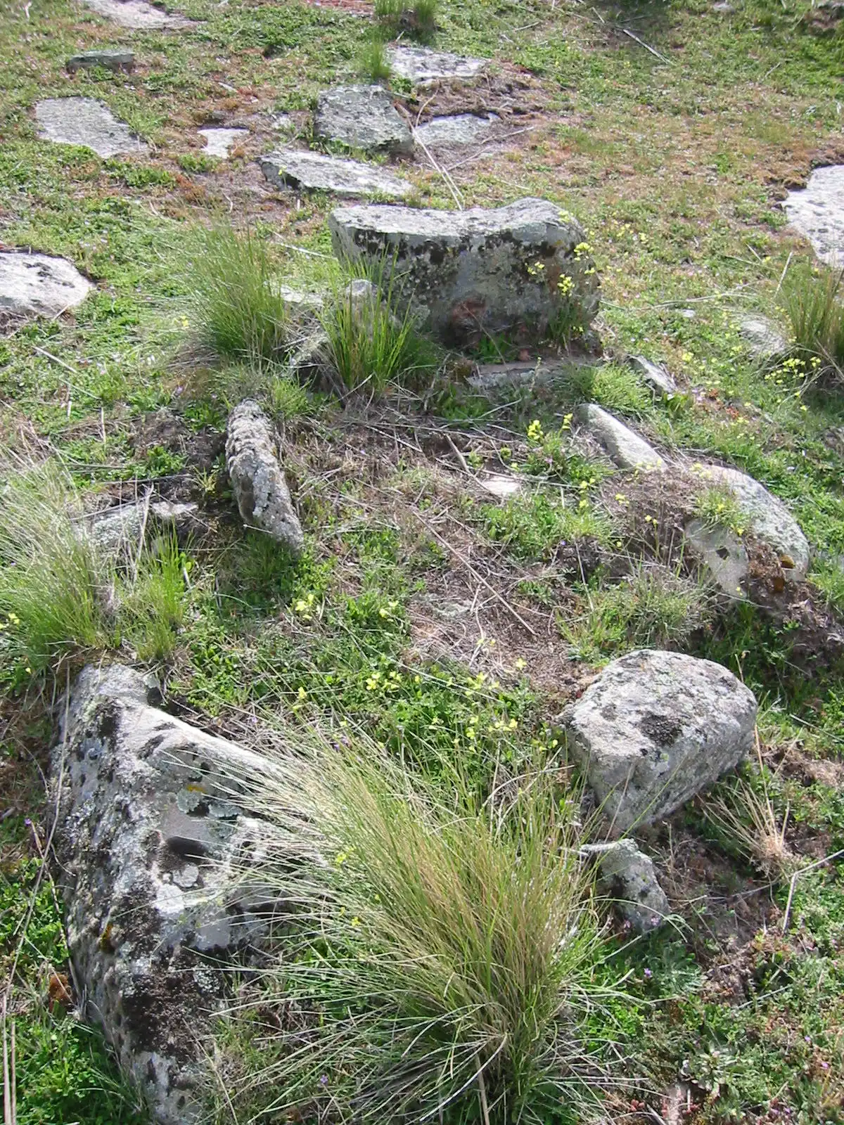 Las Cogotas - Tumba (Cardeñosa, Ávila)