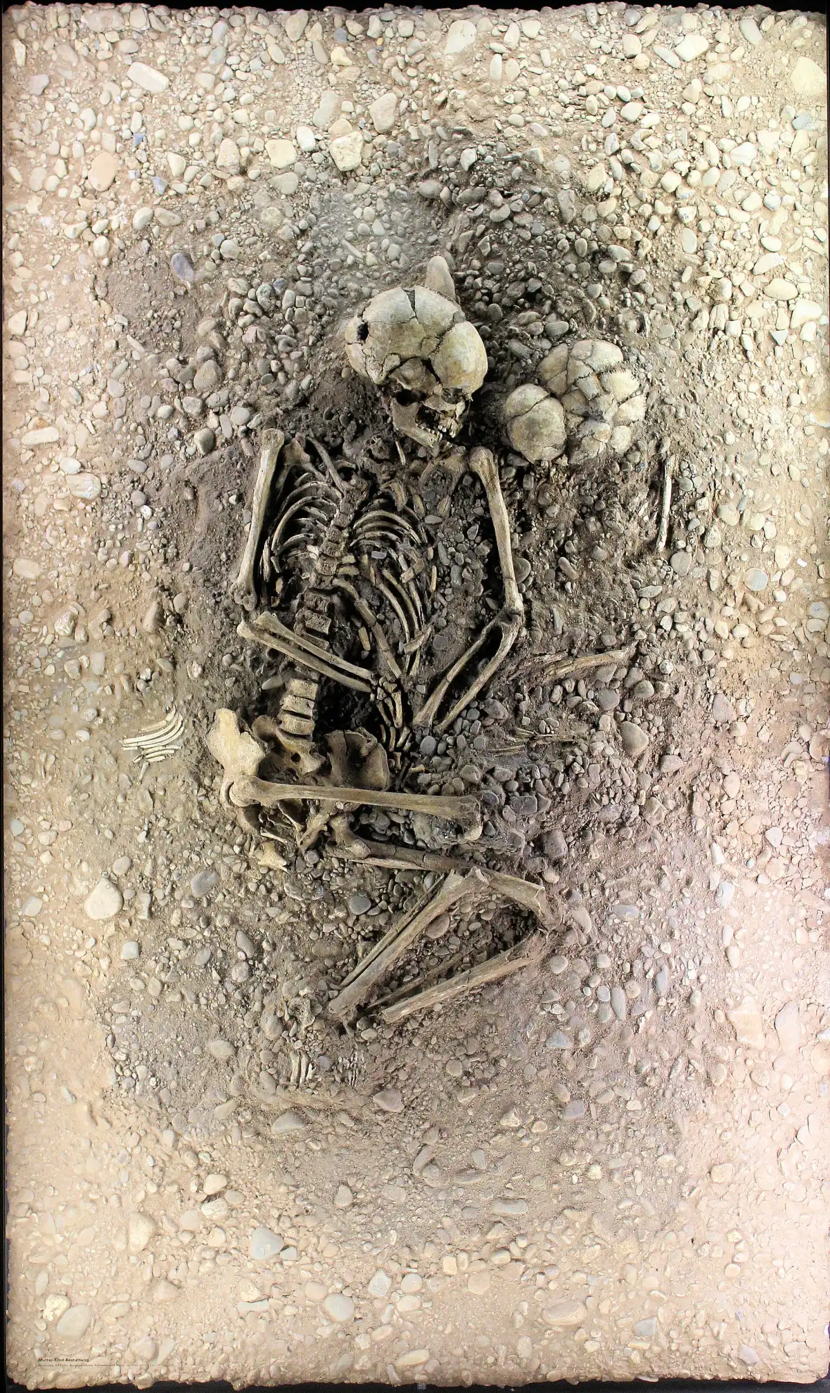 Una de las tumbas familiares de Eulau, expuesta en el Landesmuseum für Vorgeschichte de Halle y fechada aproximadamente en 2600 a. C.