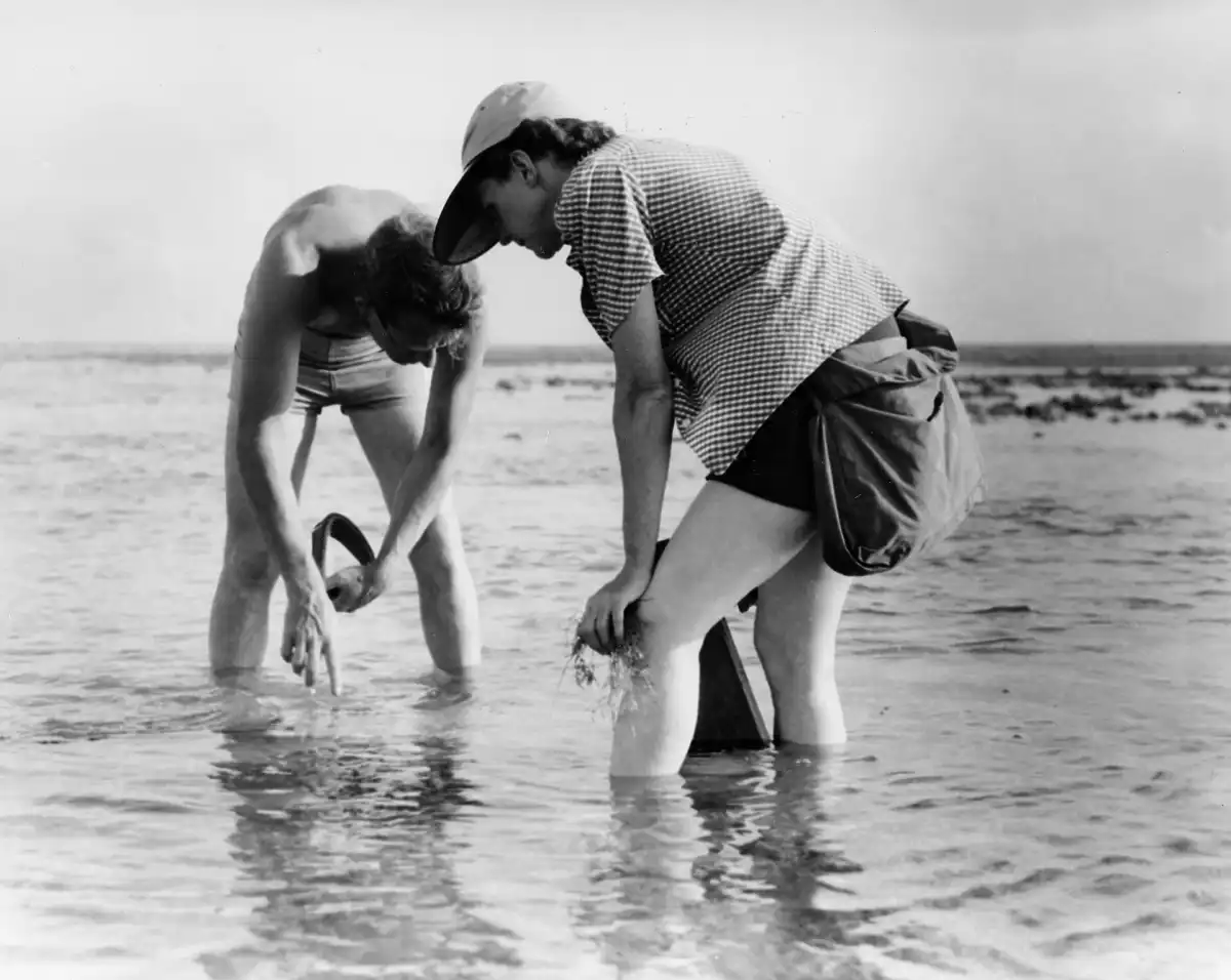 Rachel Carson realiza investigaciones de biología marina con Bob Hines