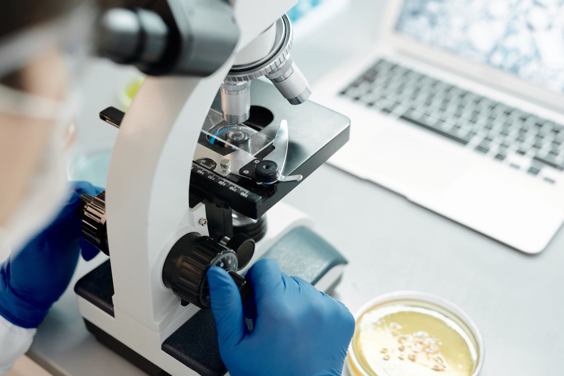 scientist examining glowing bacteria samples in modern genomics laboratory