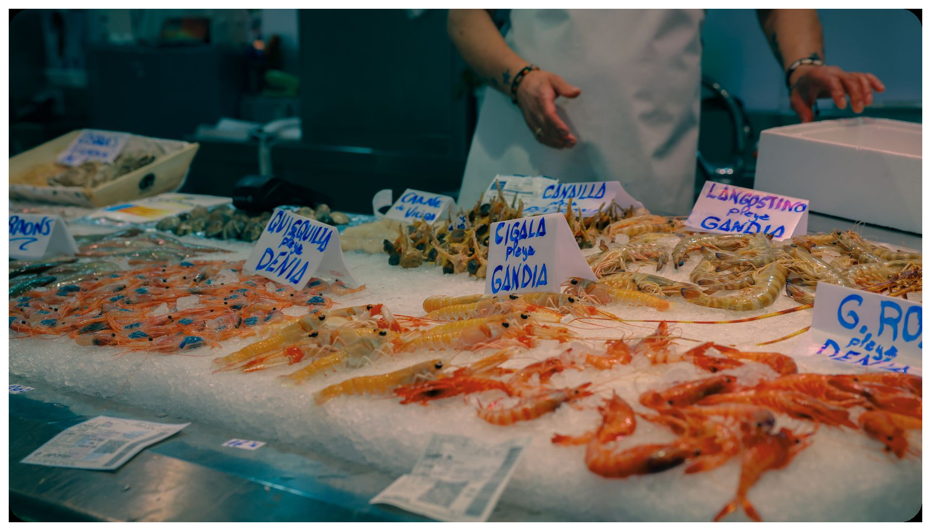 Portuguese fishing village at sunset with boats and seagulls, fresh seafood display market stalls with lobster and shellfish