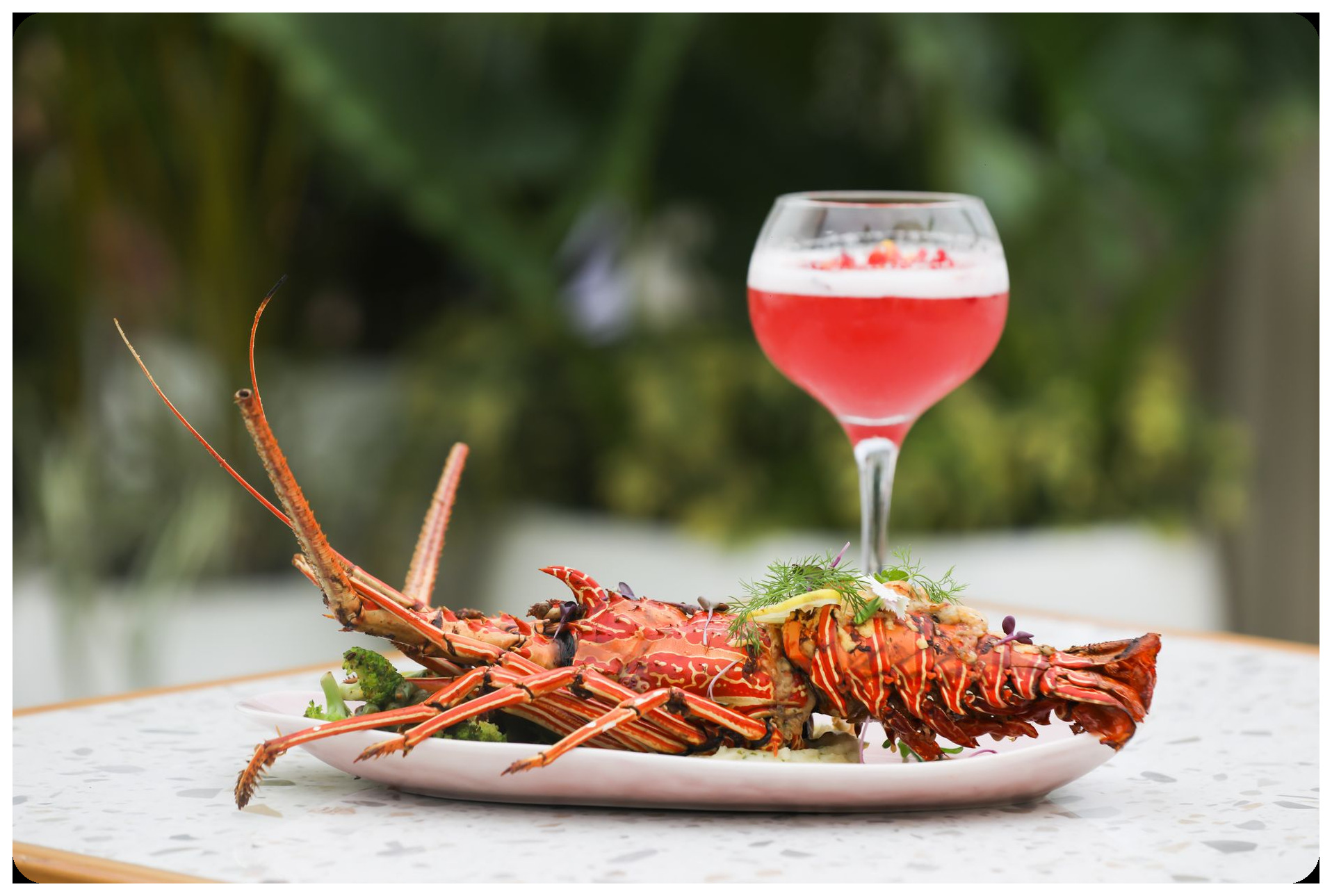 cooked lobster on white plate with fresh herbs and lemon, traditional Galician seafood restaurant setting, wooden table