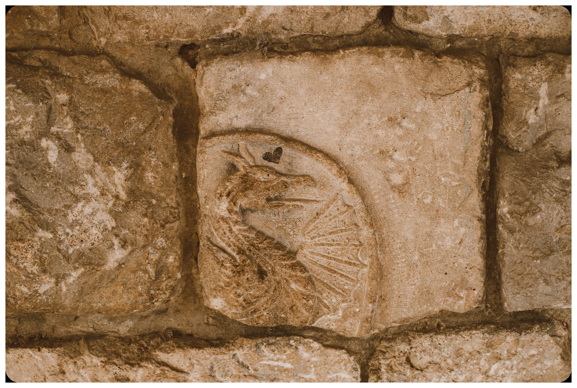 dragon ancient lake banyoles water creature fire eyes medieval legend