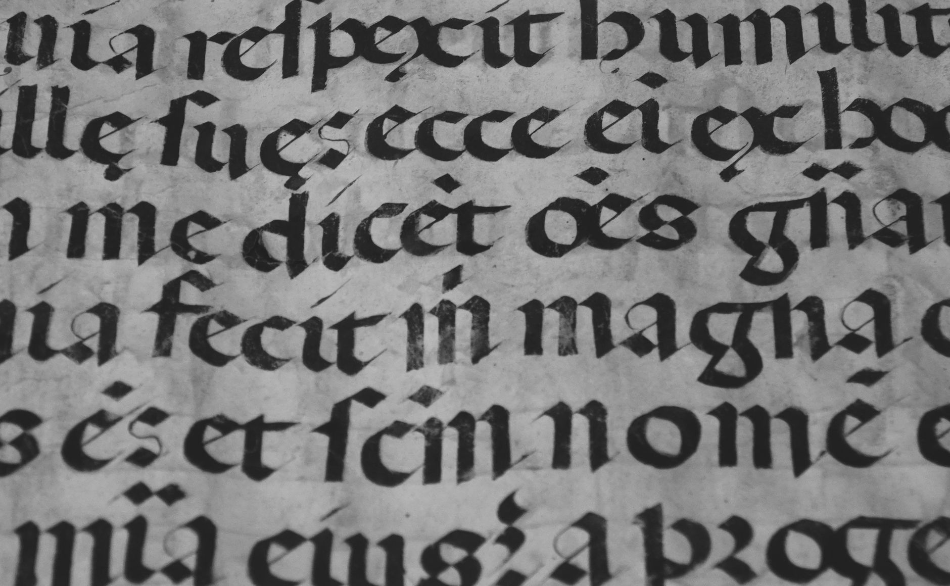 ancient spanish mysteries shrouded in fog medieval castle manuscript old parchment atmospheric