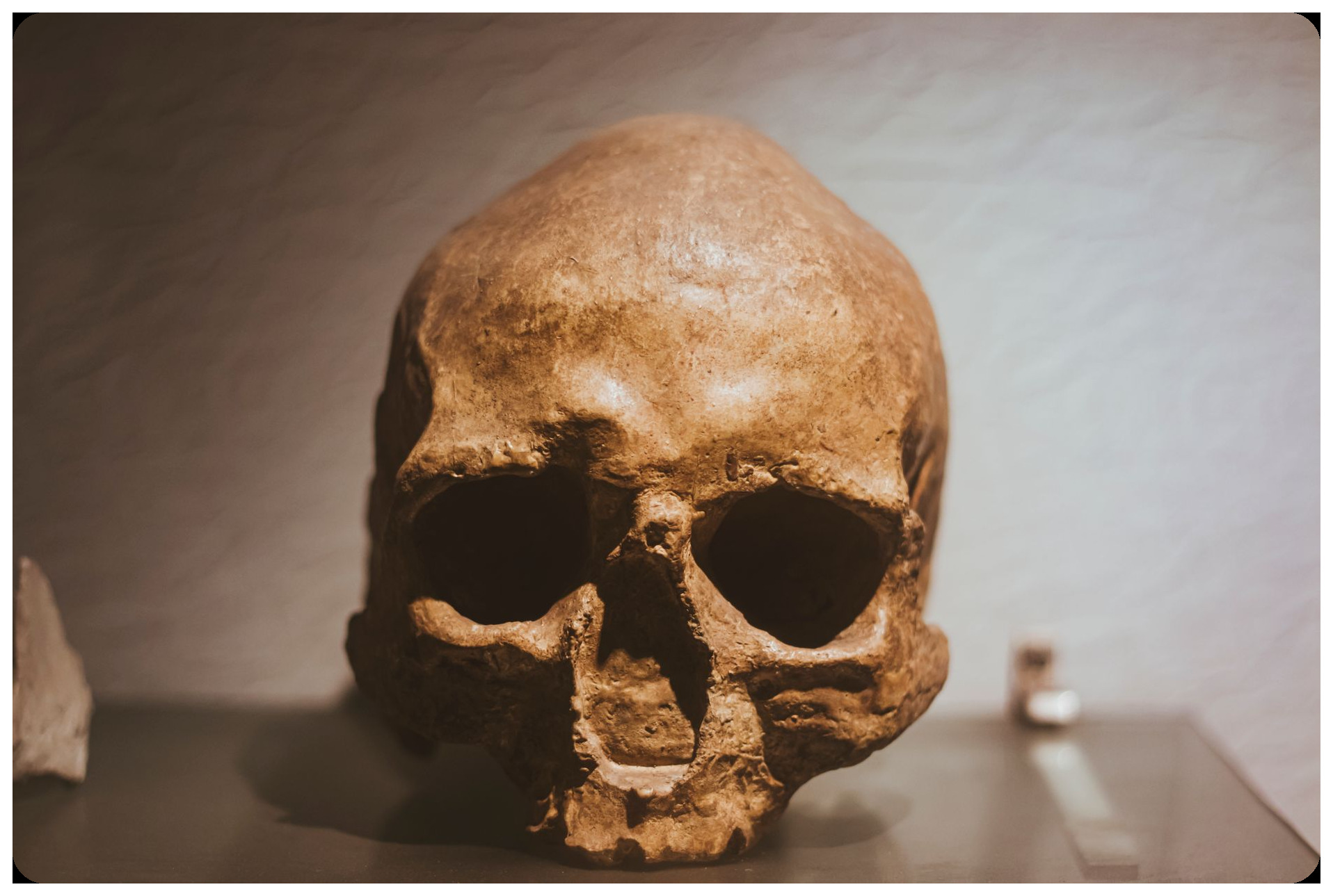 Ancient mummy in metal casket with preserved facial features and tattered wrappings, displayed in scientific laboratory setting with blue lighting, examining mysterious preserved corpse