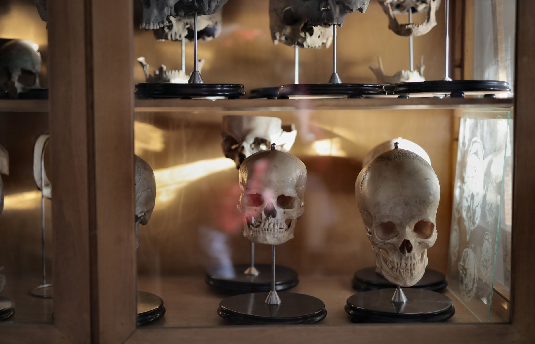 close-up of ancient human skeletal remains being cleaned and analyzed, laboratory study of medieval bones, scientific precision work