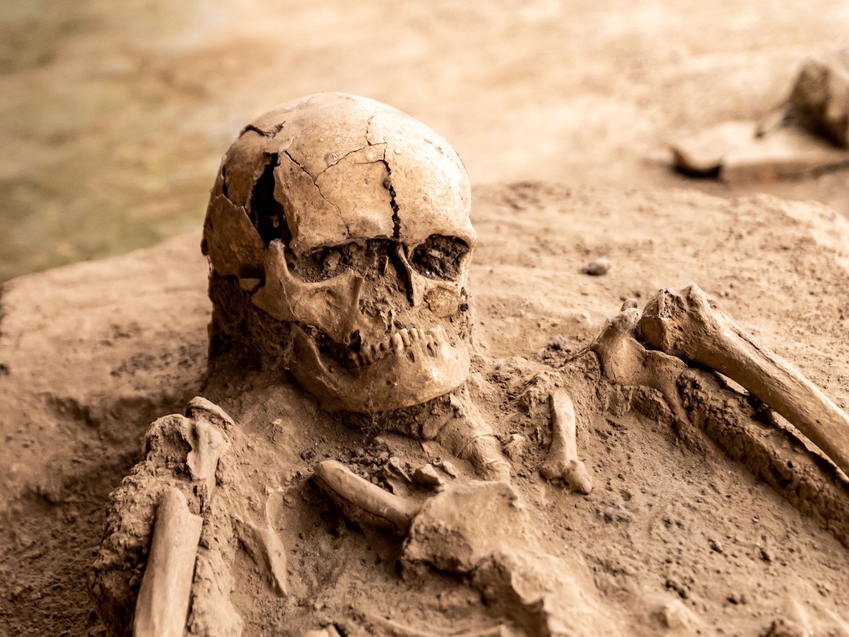 archaeologist brushing dust off medieval arabic ceramic bowl excavation site daylight